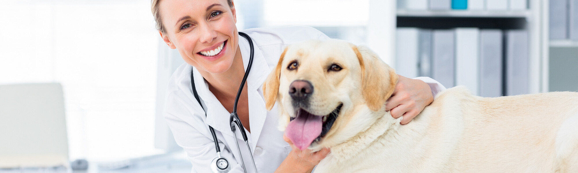 TVD-Partner-für-Tierärzte-(11)